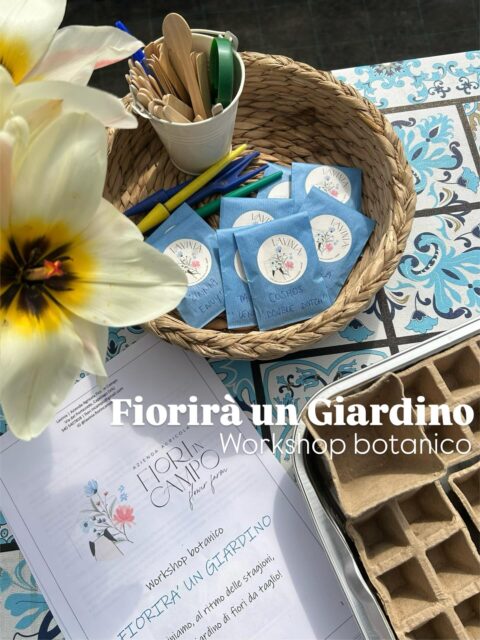 💐 Coltivo i miei fiori partendo dai semi!
Seminare, direttamente in campo o nei vassoi in serra, e’ uno dei lavori che amo più fare, richiede gran parte del mio tempo e della mia pazienza; decidere quando e quali fiori seminare e’ alla base per una buona riuscita!
👩🏻🌾 Con Fiorirà un Giardino ho deciso di condividere quello che ho imparato in questi anni di coltivazione, seminando insieme varietà di fiori che stanno già dando belle soddisfazioni ai primi iscritti di questa stagione!! 😉
☀️ Giugno e’ l’ultimo mese per le nuove iscrizioni.. l’estate avanza e i tempi stringono!!
👉 Per iscrizioni e qualche informazione in più www.fiorincampo.it