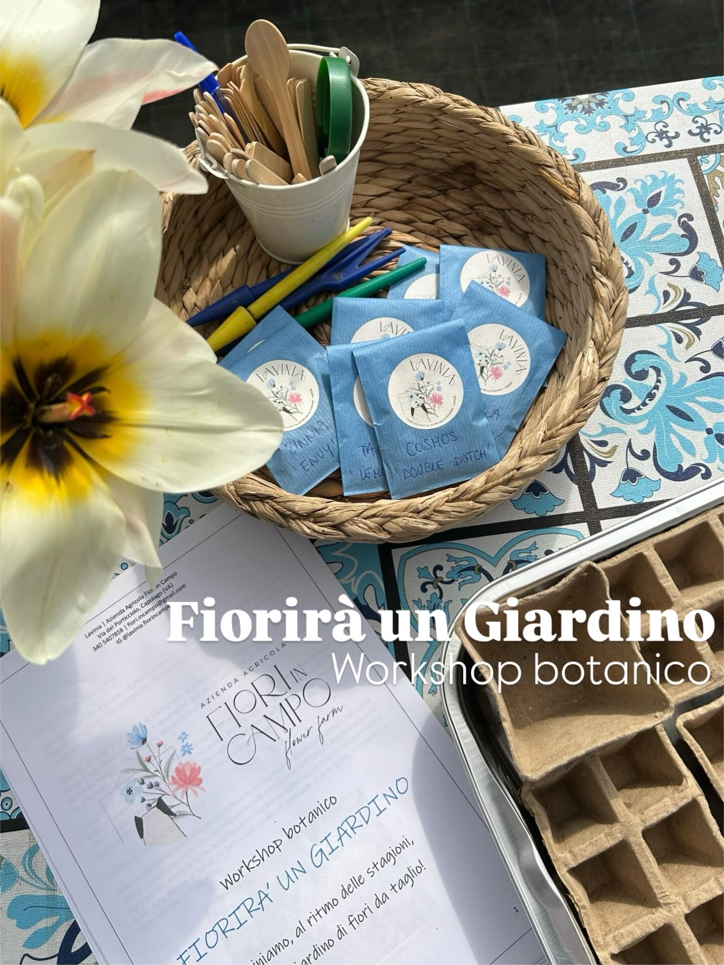 💐 Coltivo i miei fiori partendo dai semi!
Seminare, direttamente in campo o nei vassoi in serra, e’ uno dei lavori che amo più fare, richiede gran parte del mio tempo e della mia pazienza; decidere quando e quali fiori seminare e’ alla base per una buona riuscita!
👩🏻🌾 Con Fiorirà un Giardino ho deciso di condividere quello che ho imparato in questi anni di coltivazione, seminando insieme varietà di fiori che stanno già dando belle soddisfazioni ai primi iscritti di questa stagione!! 😉
☀️ Giugno e’ l’ultimo mese per le nuove iscrizioni.. l’estate avanza e i tempi stringono!!
👉 Per iscrizioni e qualche informazione in più www.fiorincampo.it